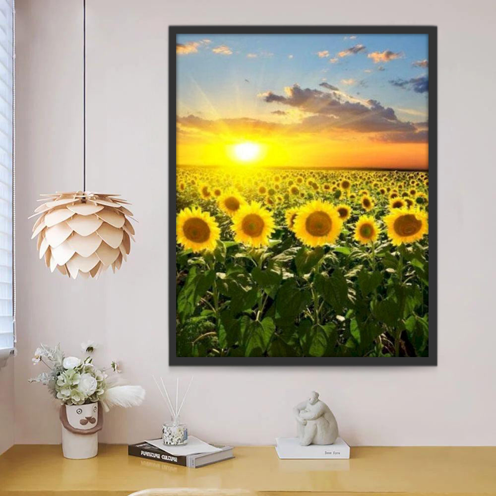 De Zon Schijnt op een Veld vol Zonnebloemen Schilderen op Nummers
