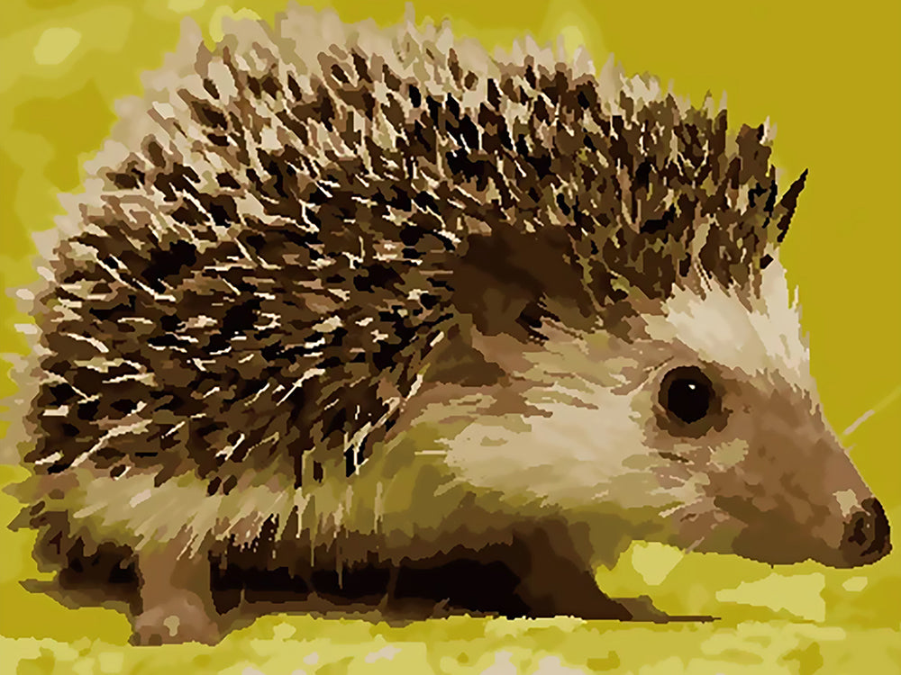 Dier Egel Schilderen op Nummers