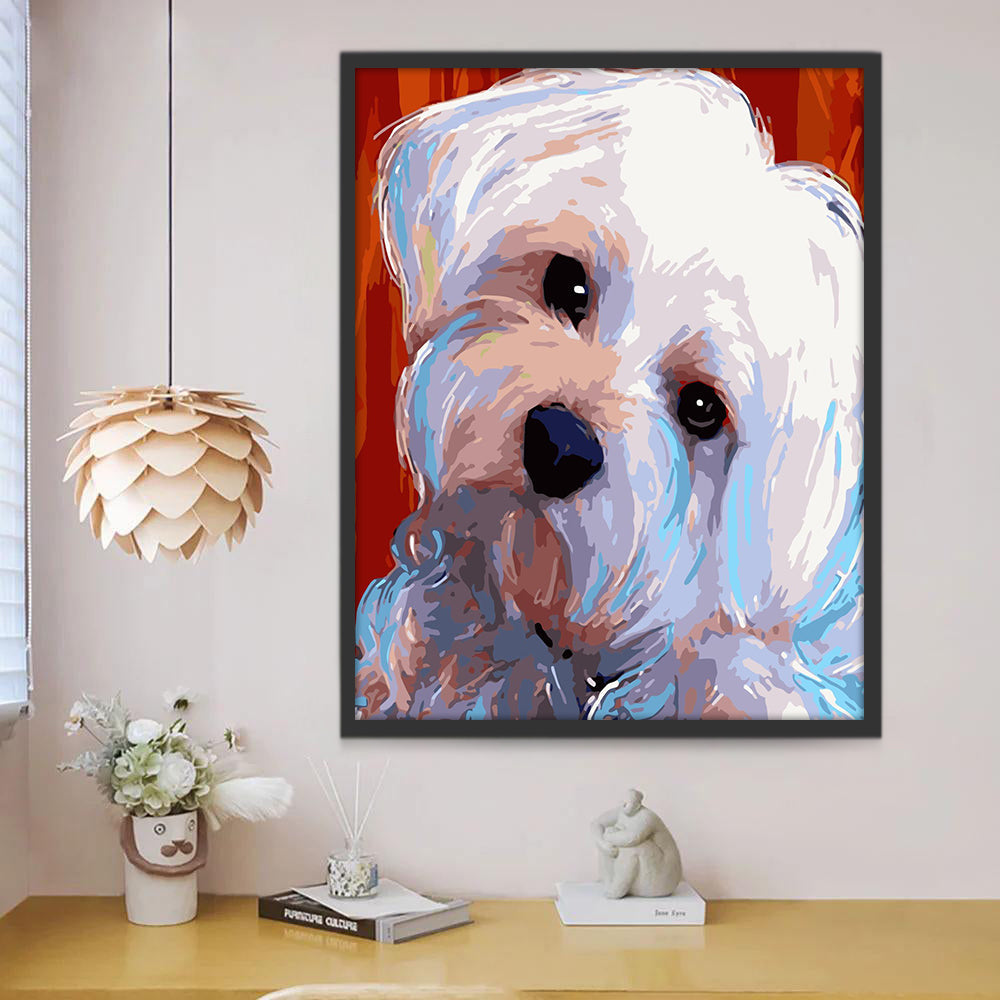 Dier Hond Bichon Schilderen op Nummers