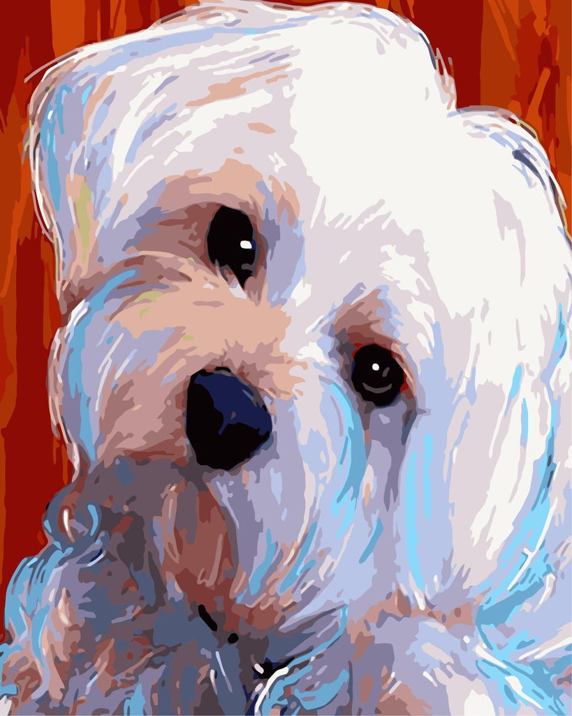Dier Hond Bichon Schilderen op Nummers