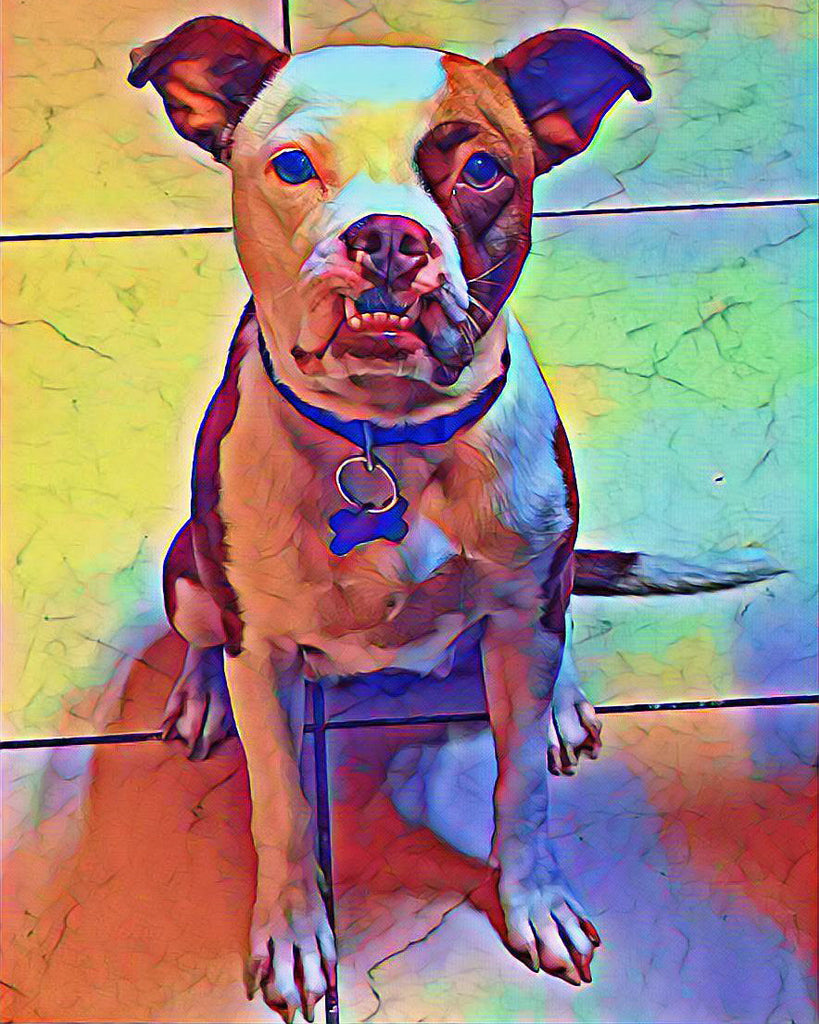 Dier Hond Schilderen op Nummers