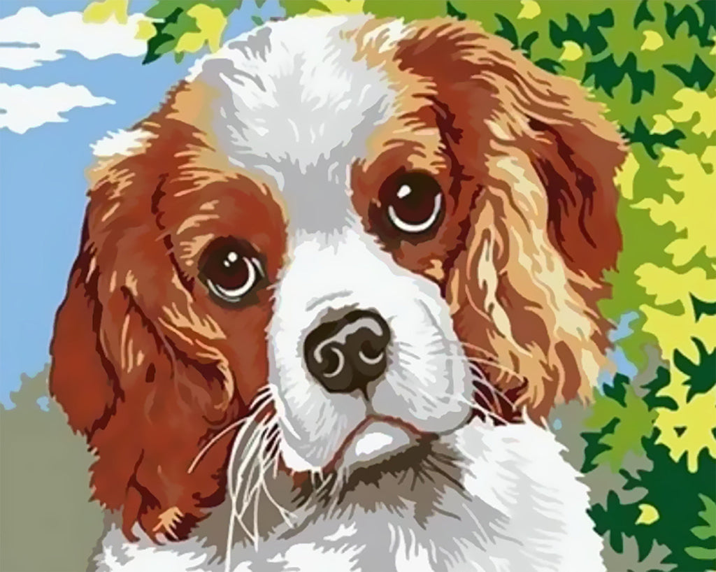 Dier Hond Schilderen op Nummers