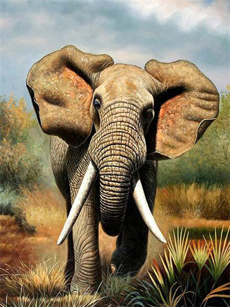 Dier Olifant Schilderen op Nummers