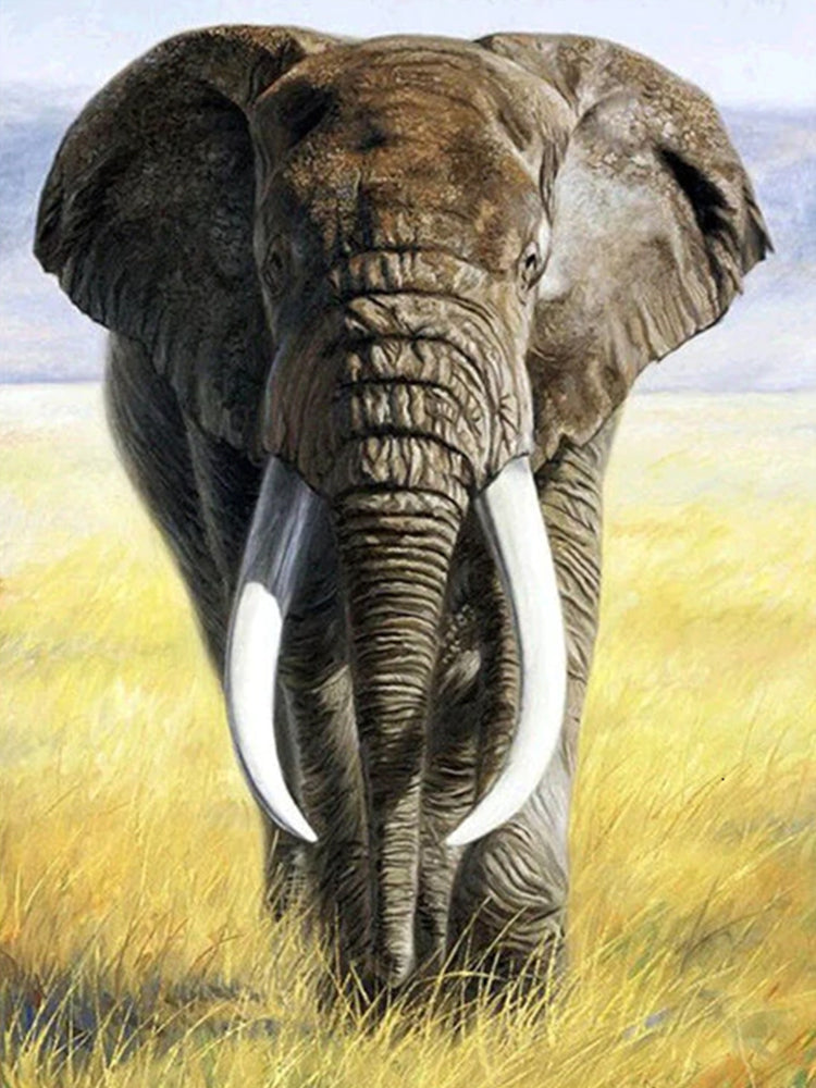 Dier Olifant Schilderen op Nummers