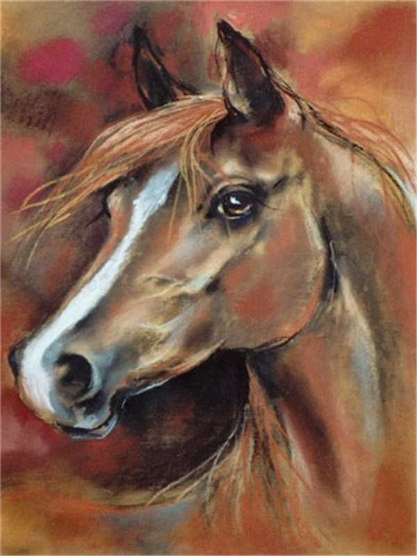 Dier Paard Schilderen op Nummers
