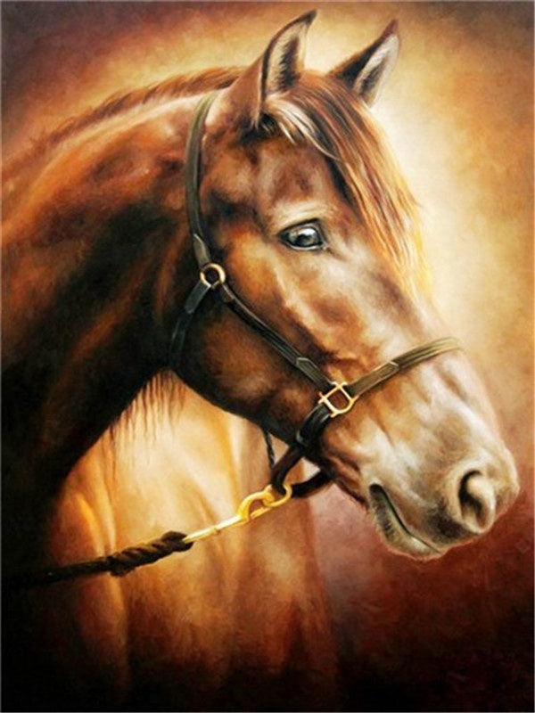 Dier Paard Schilderen op Nummers