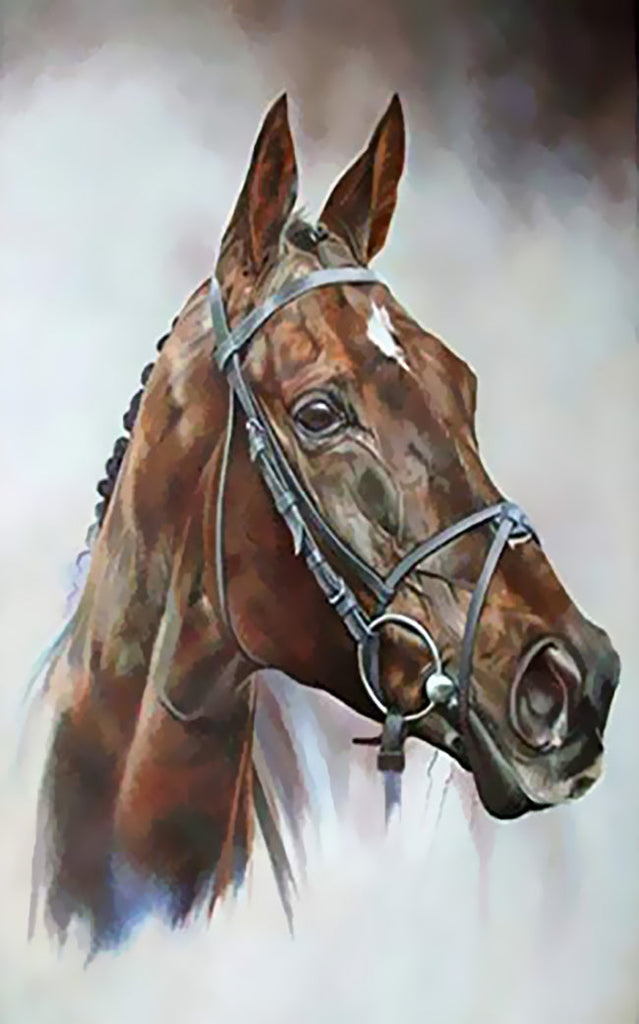 Dier Paard Schilderen op Nummers