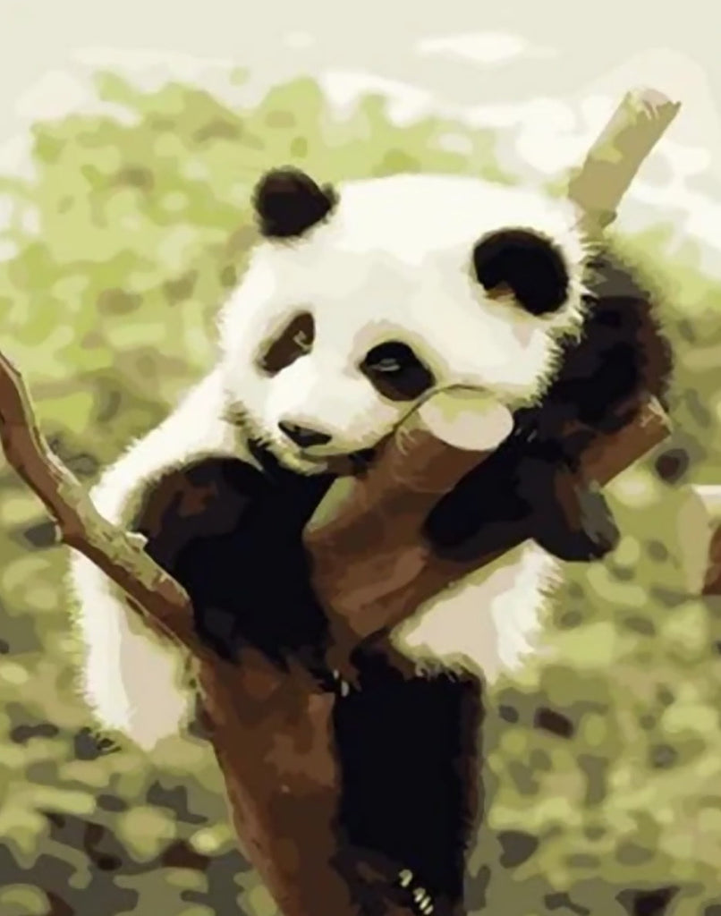 Dier Panda Schilderen op Nummers