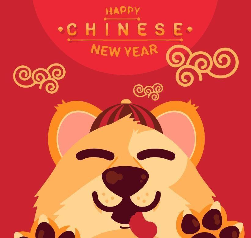 Dier uit de Chinese Dierenriem Tijger Schilderen op Nummers