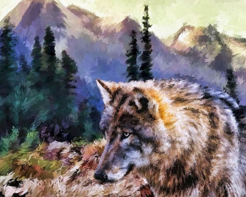Dier Wolf Schilderen op Nummers