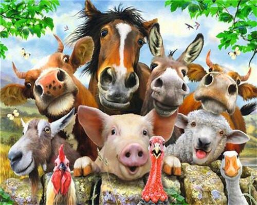 Dieren op de Boerderij Schilderen op Nummers