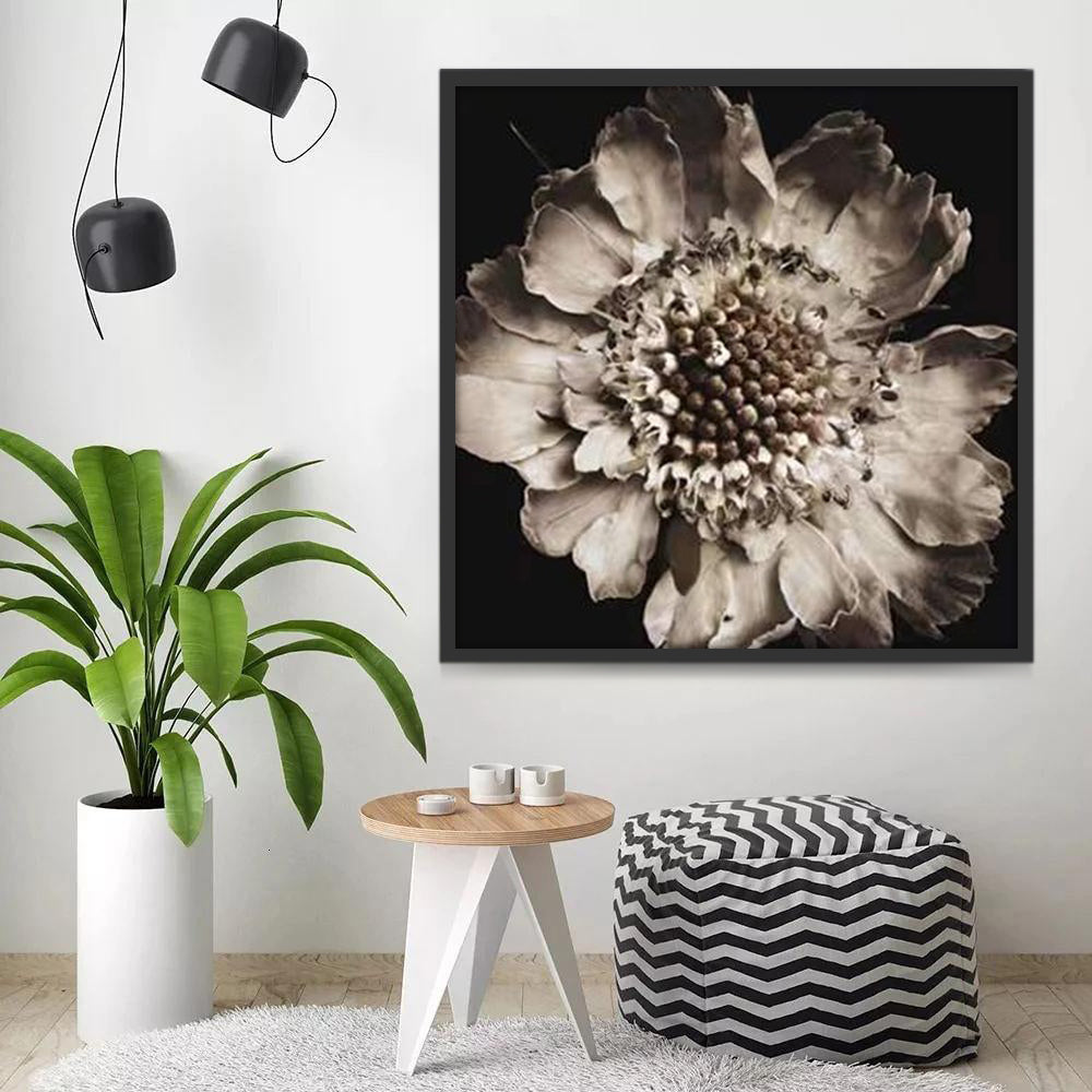Donkere en grote chrysant Schilderen op Nummers