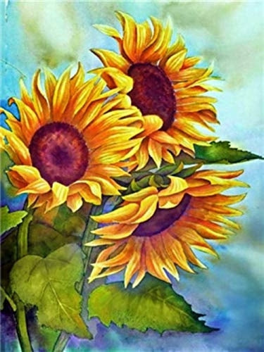 Drie Bloeiende Zonnebloemen Schilderen op Nummers