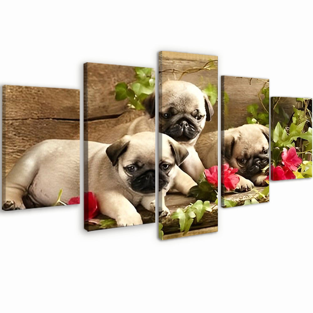 Drie Bulldog Pups 5 Platen Schilderen op Nummers