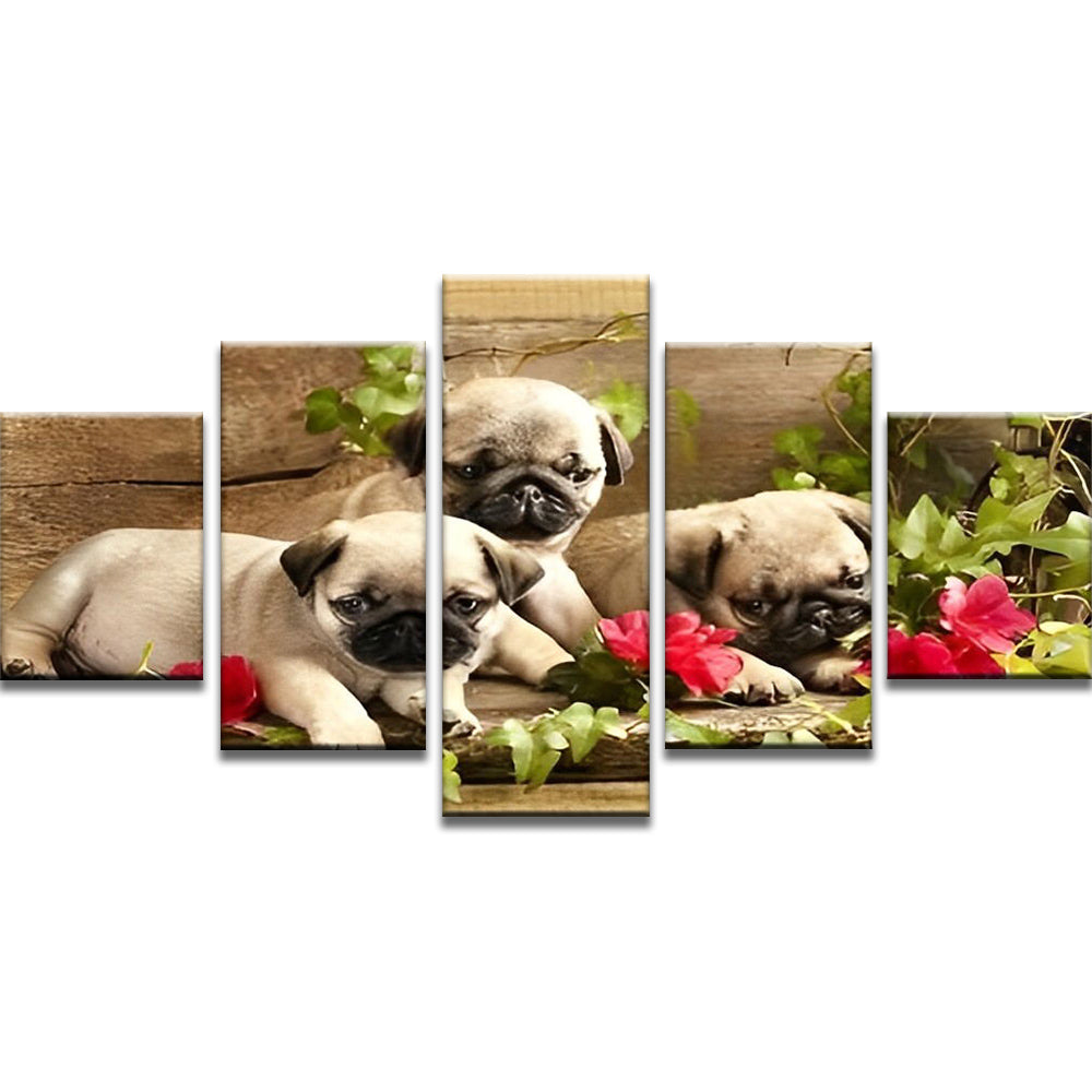 Drie Bulldog Pups 5 Platen Schilderen op Nummers