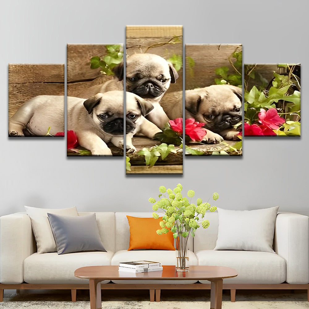 Drie Bulldog Pups 5 Platen Schilderen op Nummers