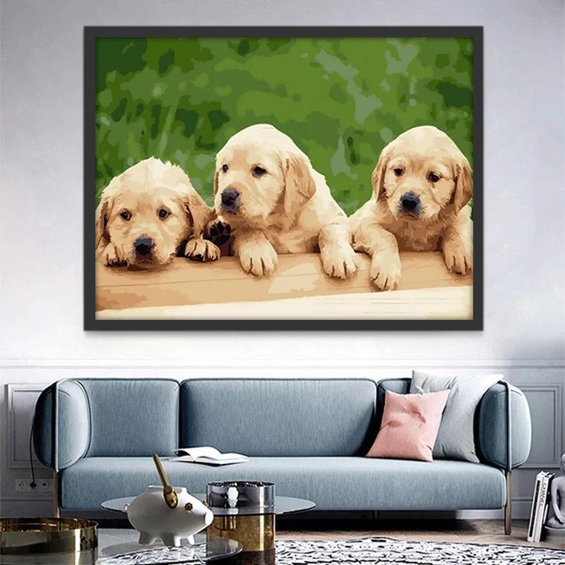 Drie Golden Retrievers Schilderen op Nummers