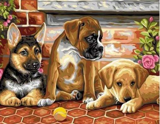 Drie Honden Schilderen op Nummers