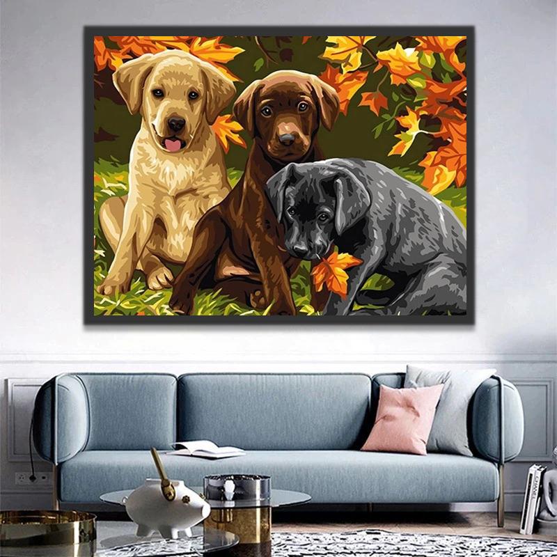 Drie Labradors in Verschillende Kleuren Schilderen op Nummers
