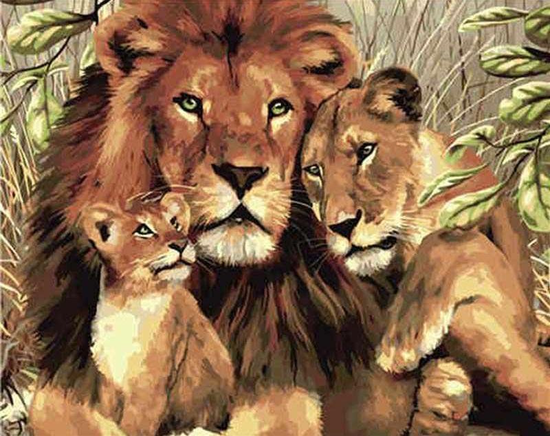 Drie Leeuwen Knuffelend Samen Schilderen op Nummers