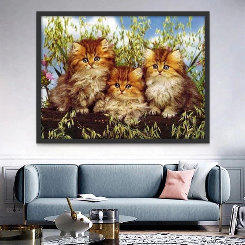 Drie Leuke Oranje Katten Schilderen op Nummers
