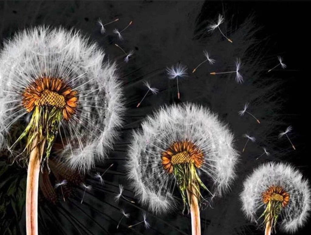 Drie Paardenbloemen Schilderen op Nummers