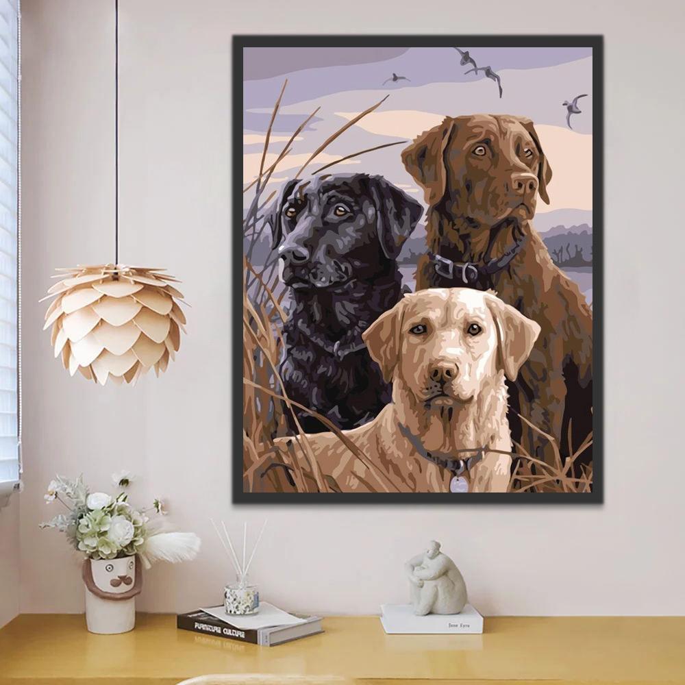 Drie Verschillend Gekleurde Labradors Schilderen op Nummers