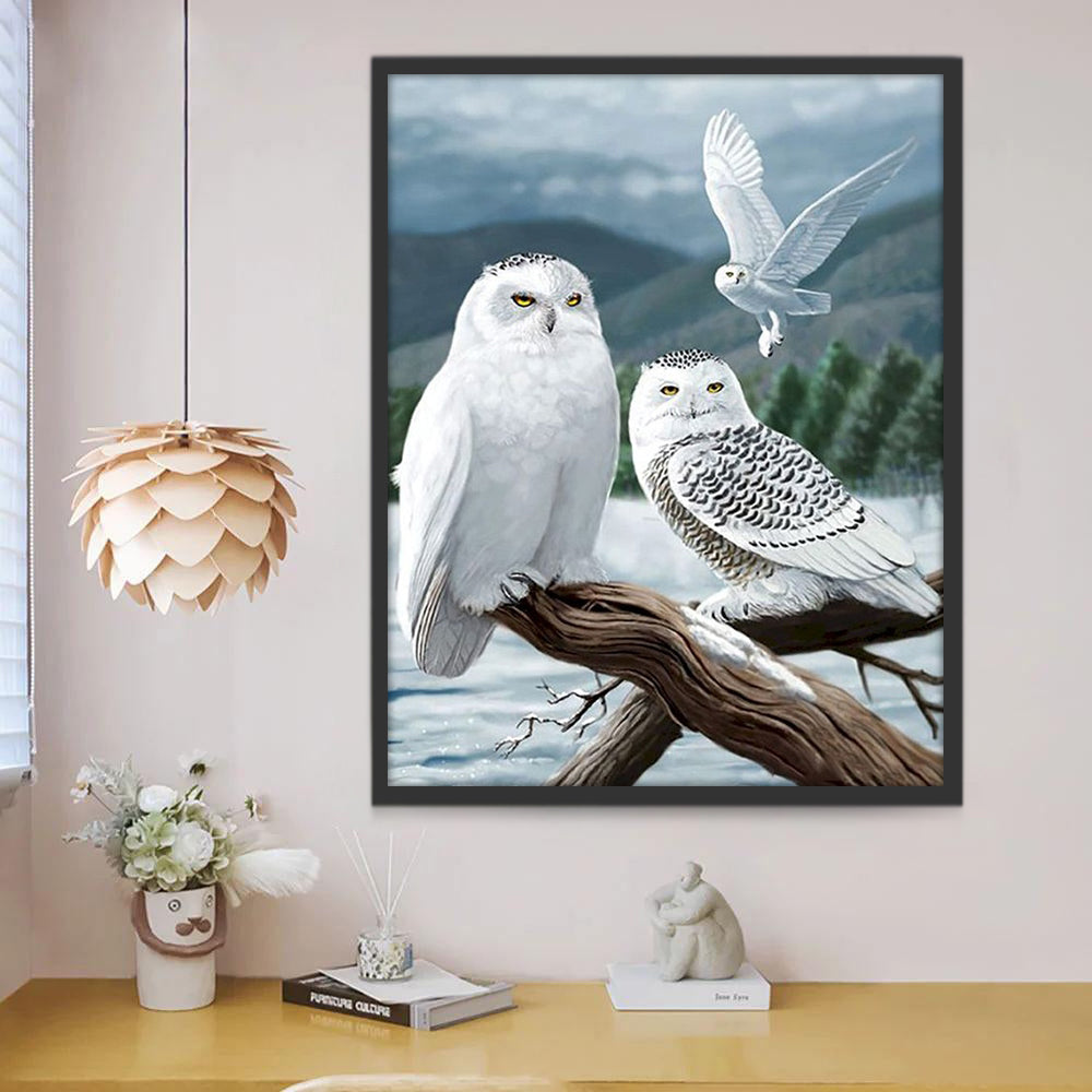 Drie Witte Uilen Schilderen op Nummers