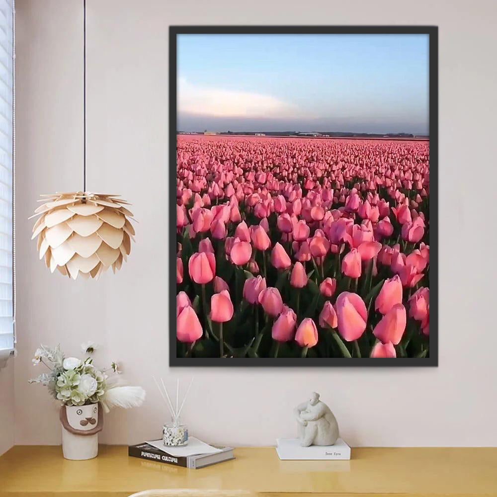 Een Groot Veld met Roze Tulpen Schilderen op Nummers