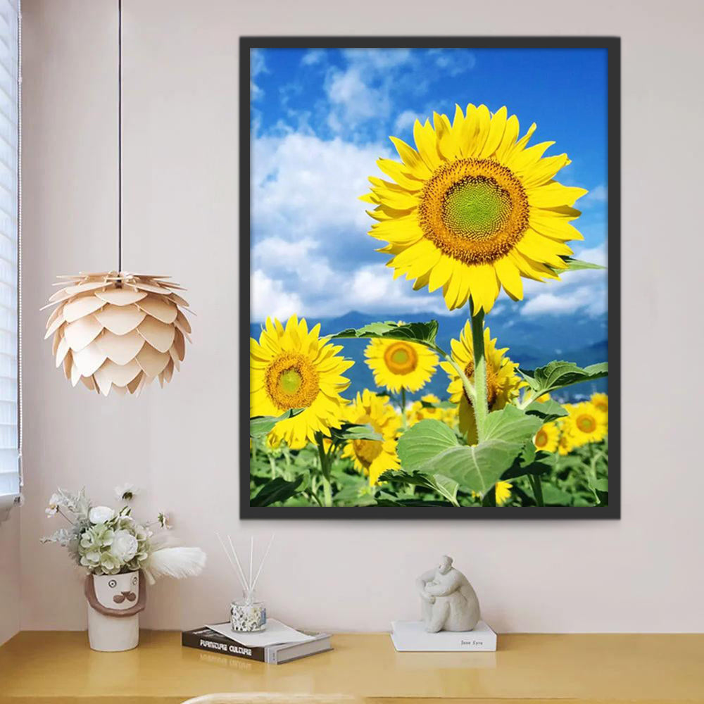 Een Groot Veld Zonnebloemen onder een Blauwe Lucht en Witte Wolken Schilderen op Nummers
