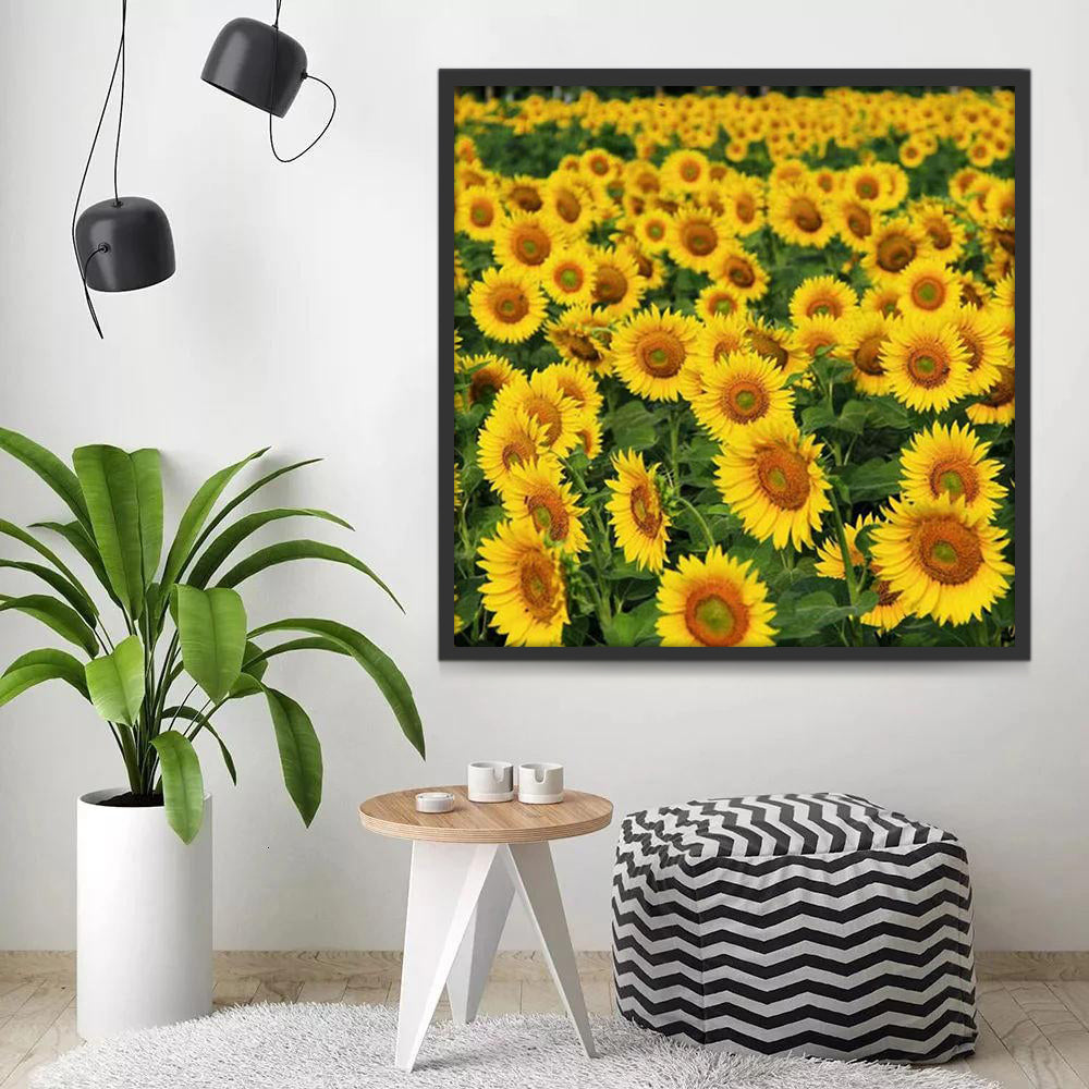 Een Groot Veld Zonnebloemen Schilderen op Nummers
