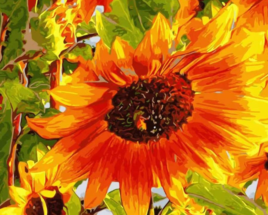Een Grote Bloeiende Zonnebloem Schilderen op Nummers