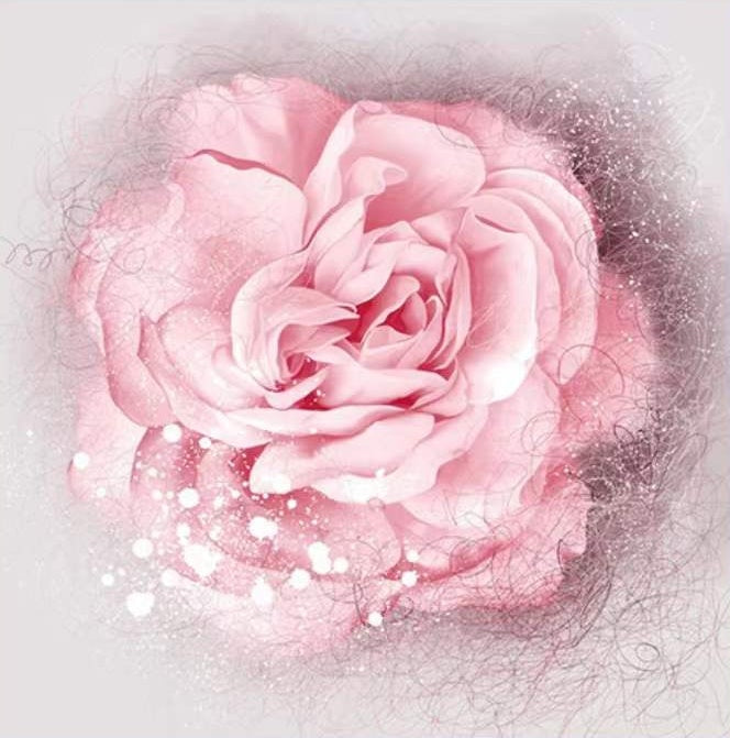 Een grote roze bloem Schilderen op Nummers