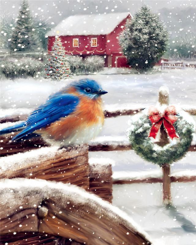 Een Ijsvogel in de Sneeuw Schilderen op Nummers