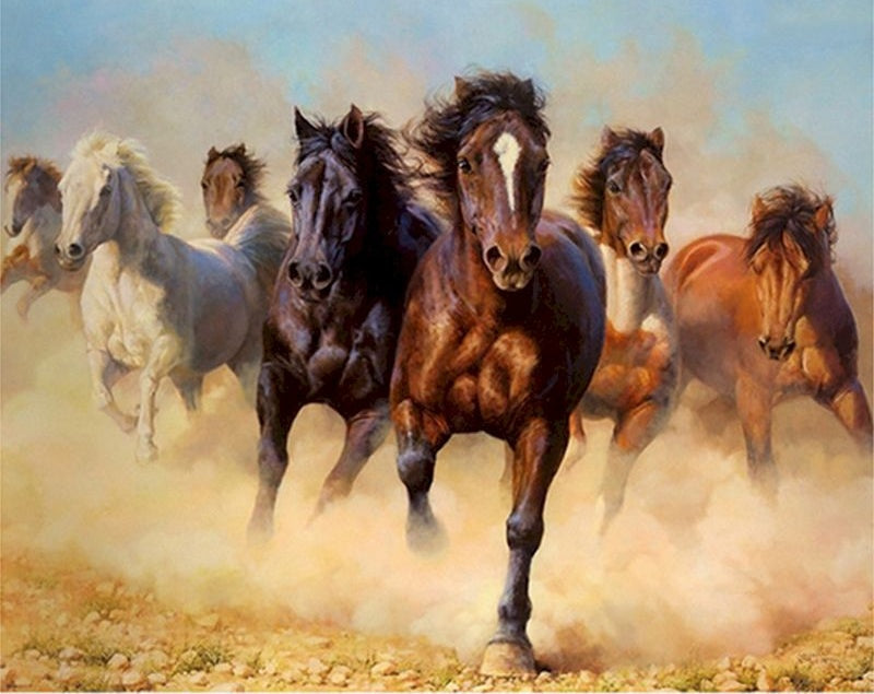 Een Kudde Rennende Paarden Schilderen op Nummers
