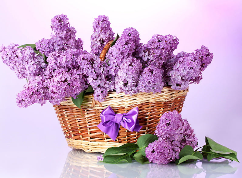 Een mand vol lavendel Schilderen op Nummers