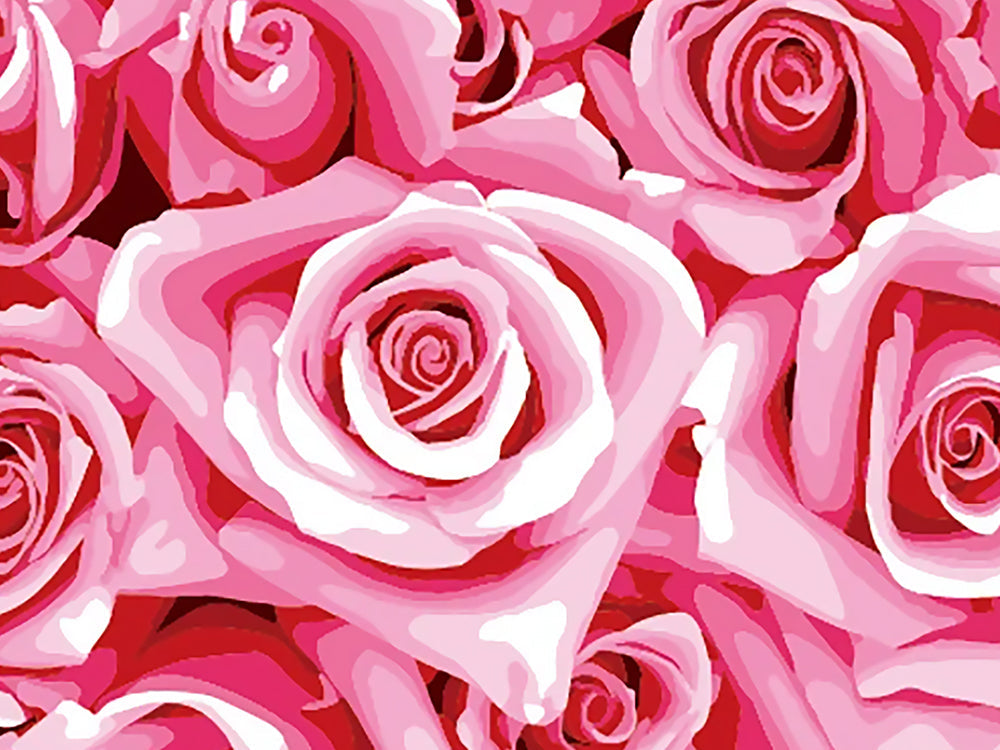 Een massa roze rozen Schilderen op Nummers