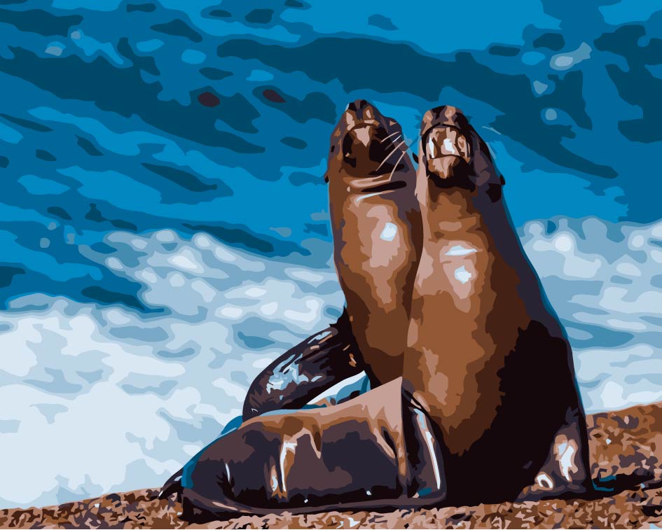 Een Paar Zeeleeuwen op het Strand Schilderen op Nummers