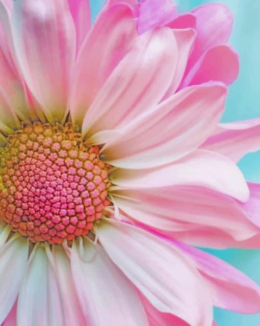 Een Witte en Roze Zonnebloem Schilderen op Nummers