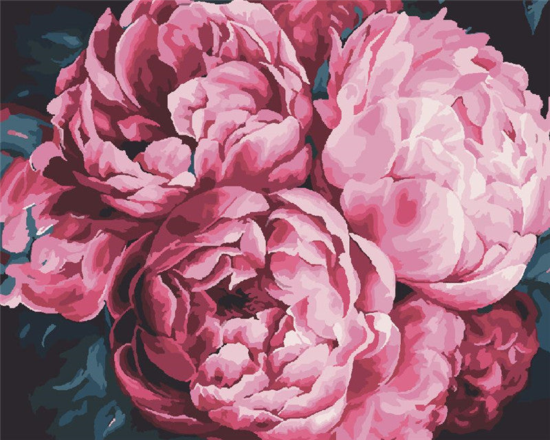 Een wolk van roze maanbloemen Schilderen op Nummers