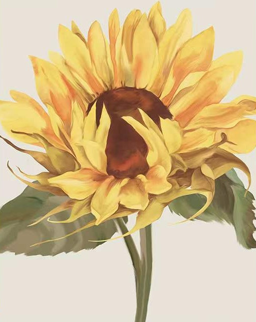 Een Zonnebloem Schilderen op Nummers