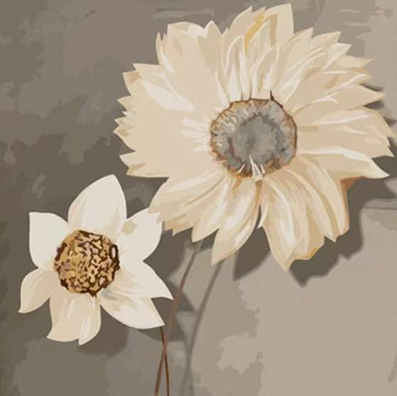 Effen Witte Bloemen Schilderen op Nummers