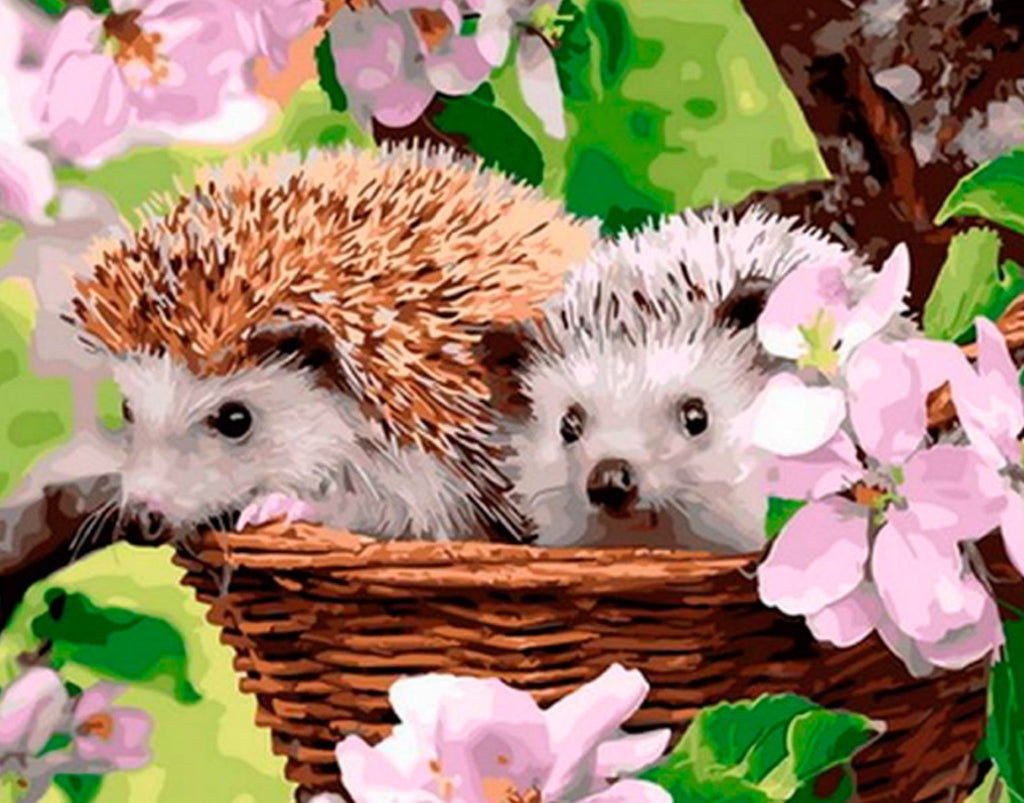 Egel in een bloemenmand Schilderen op Nummers