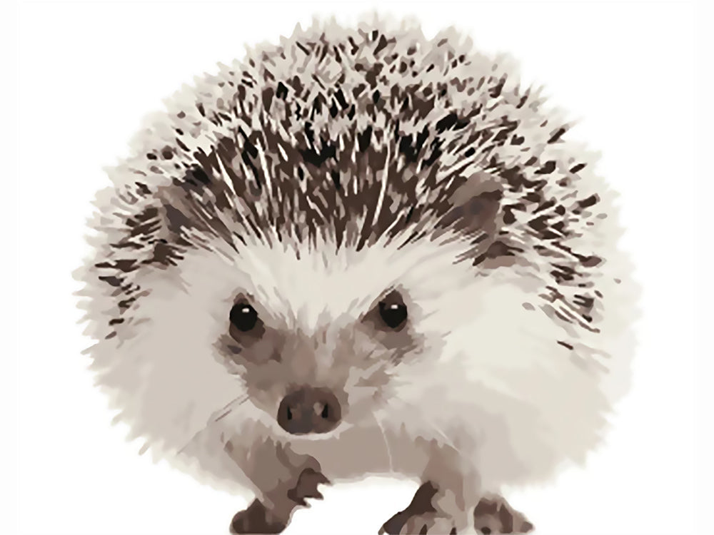 Egel Schilderen op Nummers