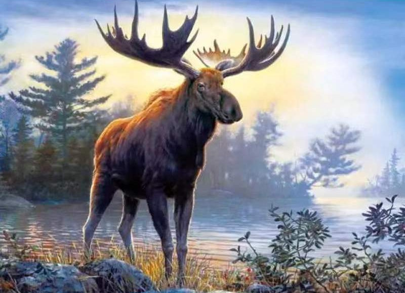 Eland Schilderen op Nummers