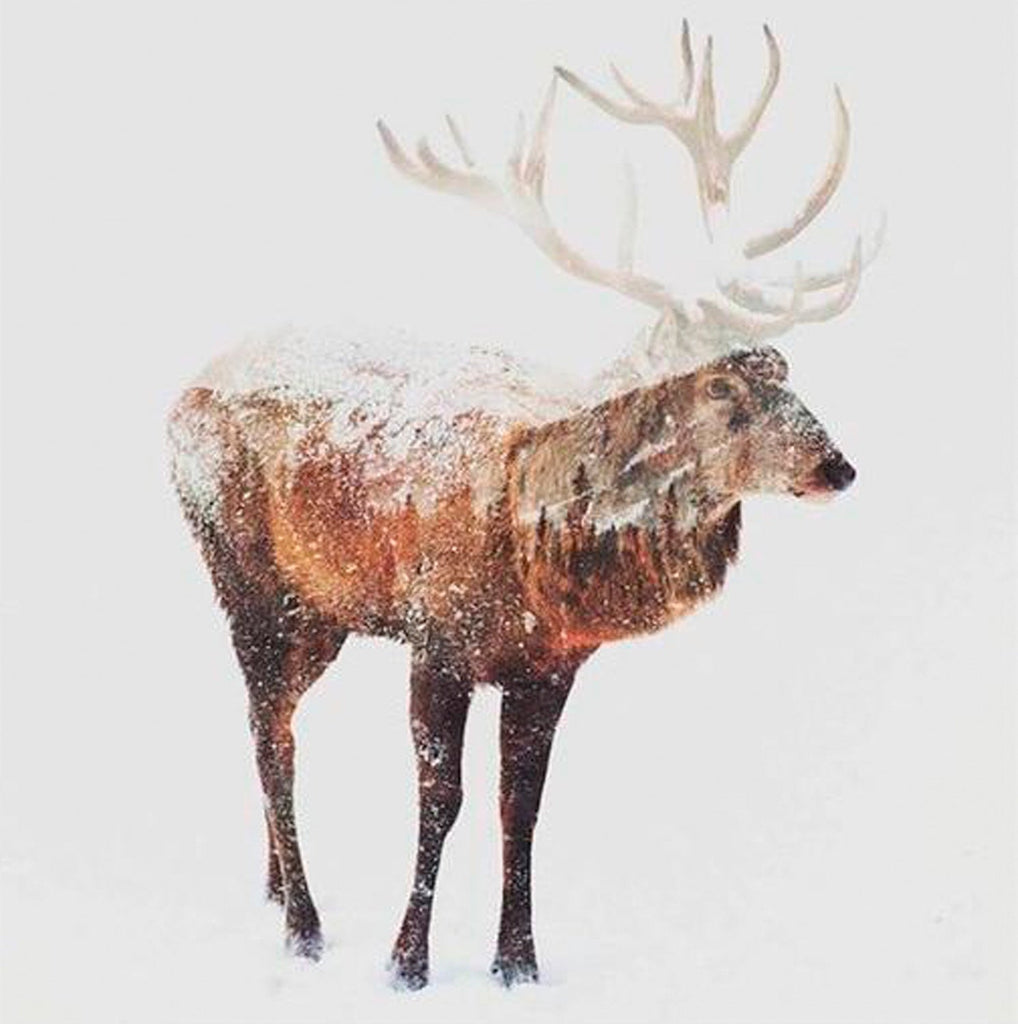 Eland Schilderen op Nummers
