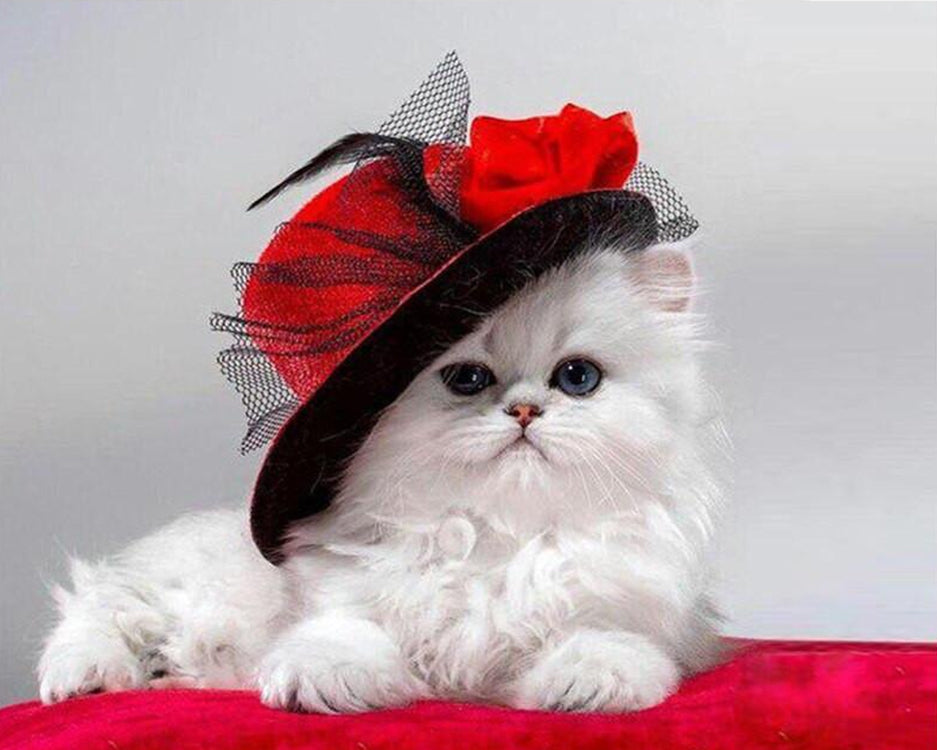 Elegante Witte Kat met Rode Hoed Schilderen op Nummers