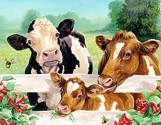 Familie van de koe Schilderen op Nummers