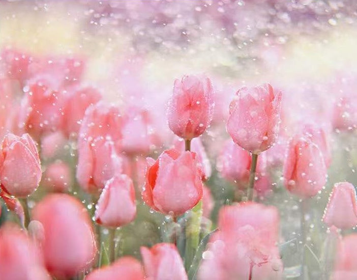 Fantasie Roze Tulpen Schilderen op Nummers