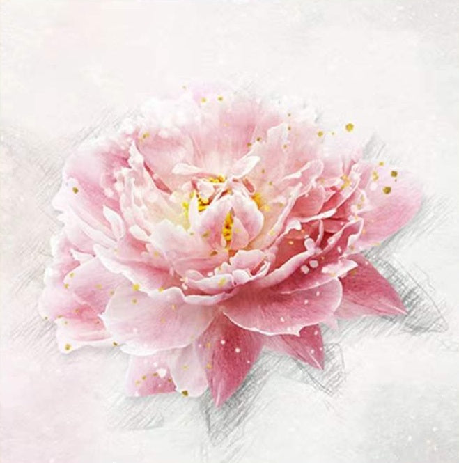 Farbstiftzeichnung Rosa Blume Schilderen op Nummers